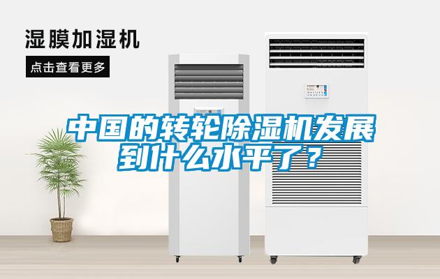 中國的轉(zhuǎn)輪除濕機(jī)發(fā)展到什么水平了？