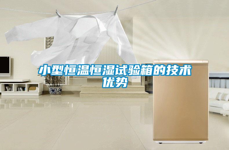 小型恒溫恒濕試驗(yàn)箱的技術(shù)優(yōu)勢(shì)