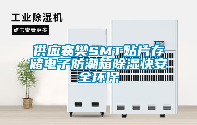 供應(yīng)襄樊SMT貼片存儲(chǔ)電子防潮箱除濕快安全環(huán)保