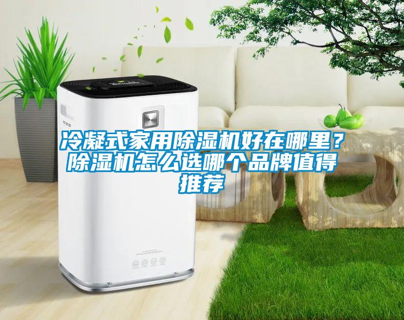 冷凝式家用除濕機(jī)好在哪里？除濕機(jī)怎么選哪個(gè)品牌值得推薦