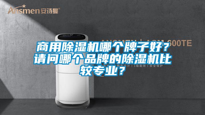 商用除濕機(jī)哪個(gè)牌子好？請(qǐng)問(wèn)哪個(gè)品牌的除濕機(jī)比較專業(yè)？