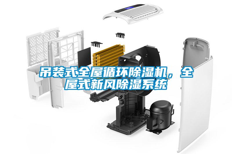 吊裝式全屋循環(huán)除濕機(jī)，全屋式新風(fēng)除濕系統(tǒng)
