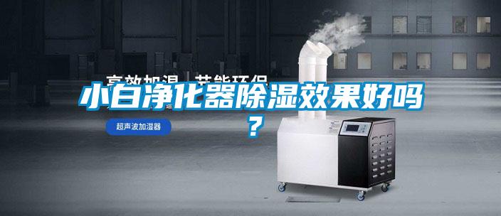 小白凈化器除濕效果好嗎？