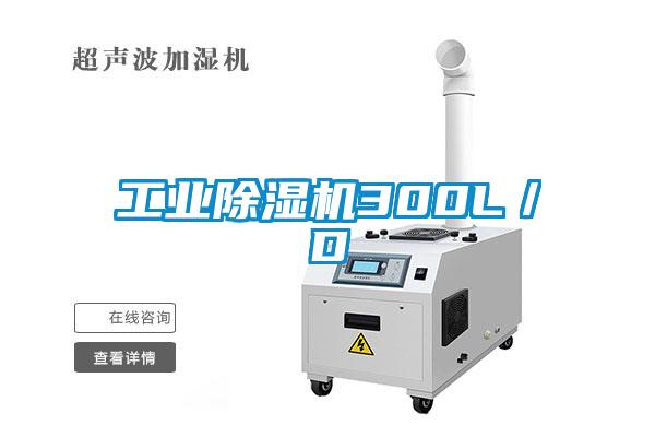 工業(yè)除濕機(jī)300L／D