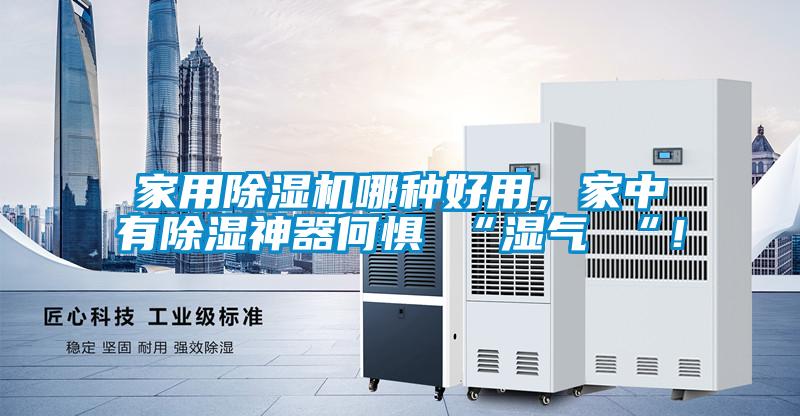 家用除濕機哪種好用，家中有除濕神器何懼 “濕氣 “！