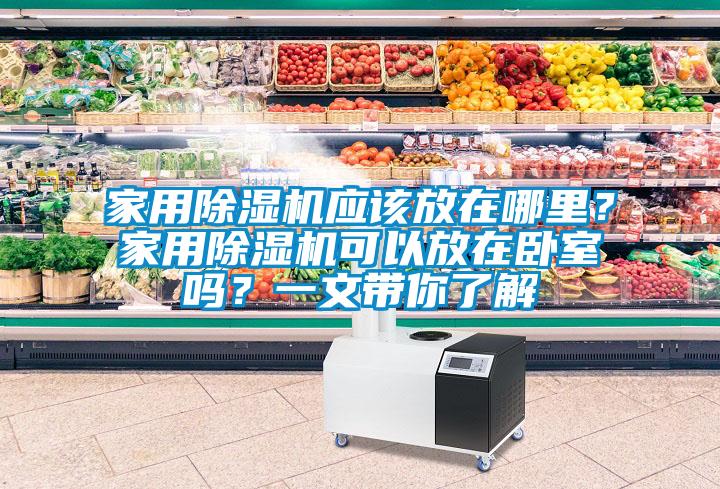 家用除濕機(jī)應(yīng)該放在哪里？家用除濕機(jī)可以放在臥室嗎？一文帶你了解