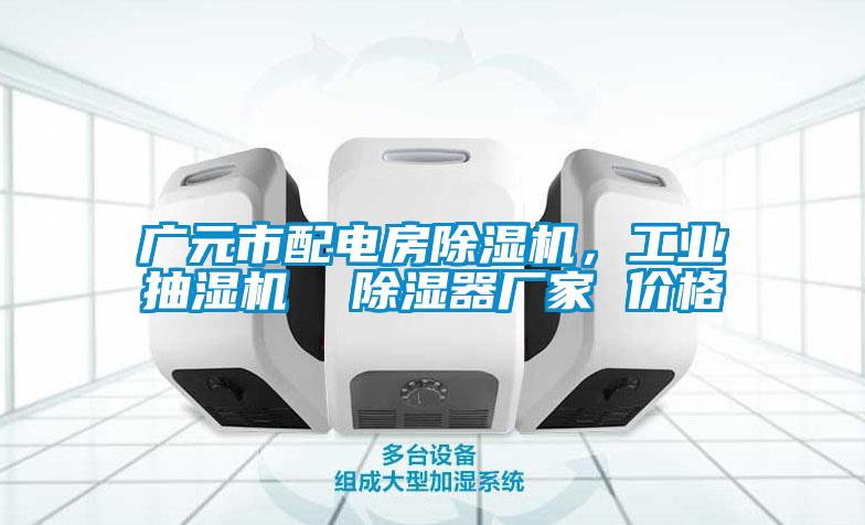 廣元市配電房除濕機，工業(yè)抽濕機  除濕器廠家 價格