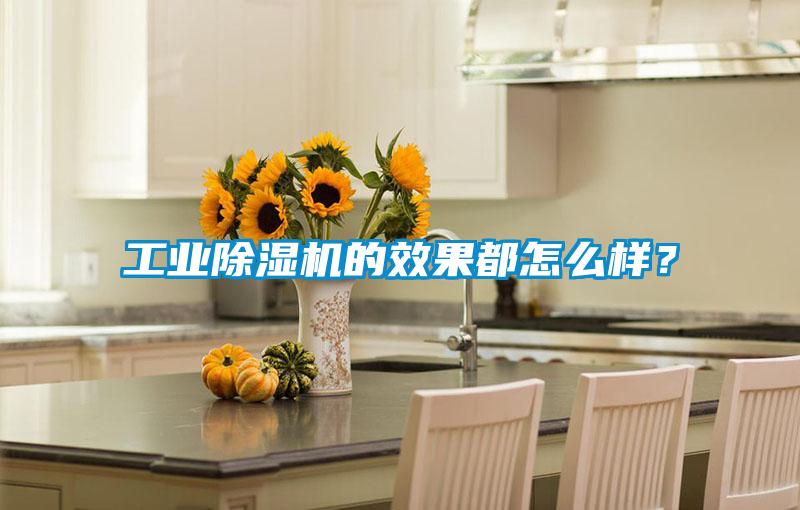 工業(yè)除濕機(jī)的效果都怎么樣？