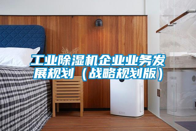 工業(yè)除濕機企業(yè)業(yè)務(wù)發(fā)展規(guī)劃（戰(zhàn)略規(guī)劃版）