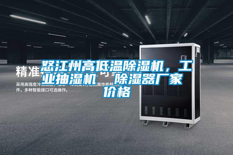 怒江州高低溫除濕機，工業(yè)抽濕機  除濕器廠家 價格
