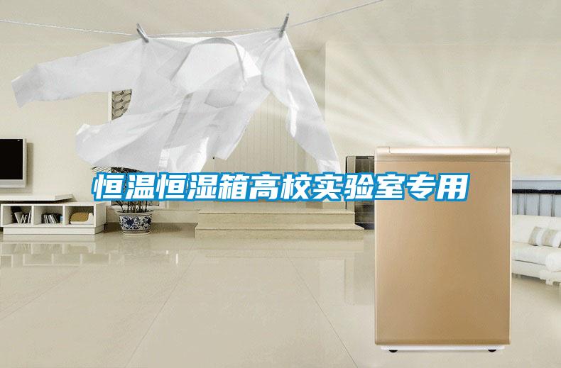 恒溫恒濕箱高校實(shí)驗(yàn)室專用
