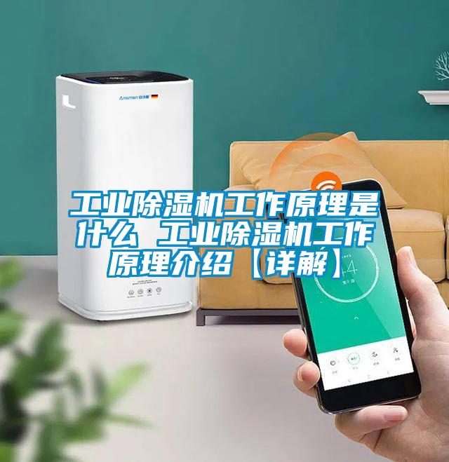 工業(yè)除濕機(jī)工作原理是什么 工業(yè)除濕機(jī)工作原理介紹【詳解】