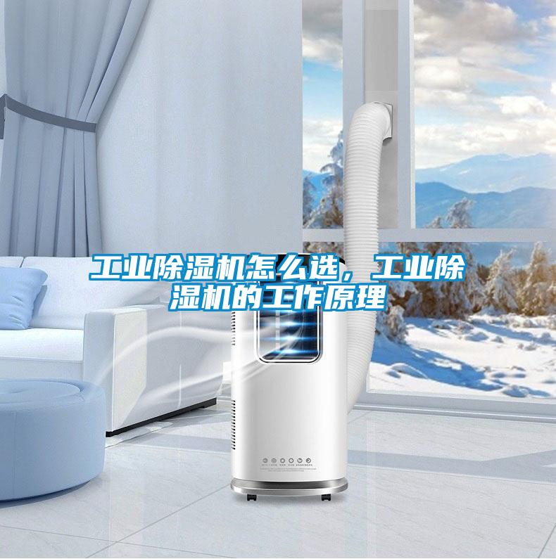 工業(yè)除濕機怎么選，工業(yè)除濕機的工作原理