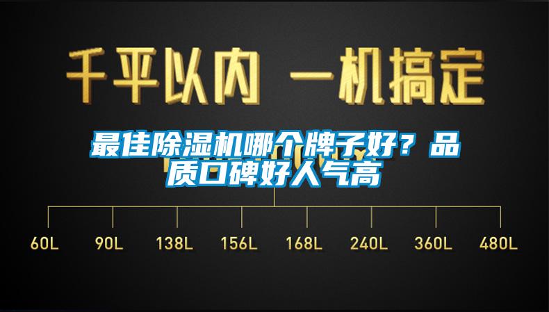最佳除濕機(jī)哪個(gè)牌子好？品質(zhì)口碑好人氣高