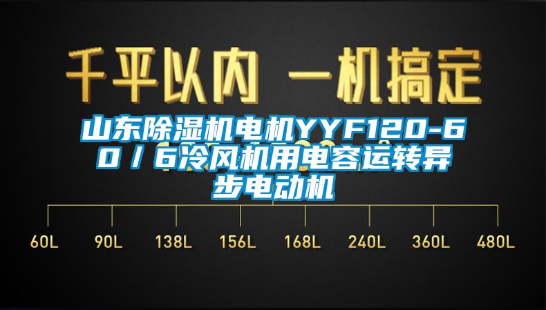 山東除濕機(jī)電機(jī)YYF120-60／6冷風(fēng)機(jī)用電容運轉(zhuǎn)異步電動機(jī)