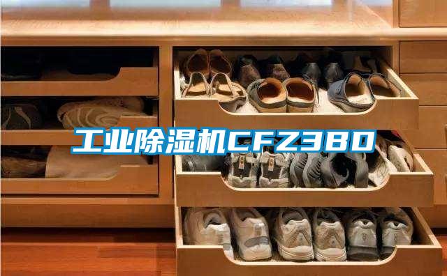 工業(yè)除濕機(jī)CFZ3BD