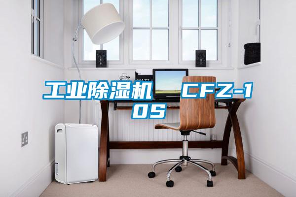 工業(yè)除濕機  CFZ-10S