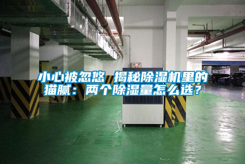 小心被忽悠 揭秘除濕機里的貓膩：兩個除濕量怎么選？
