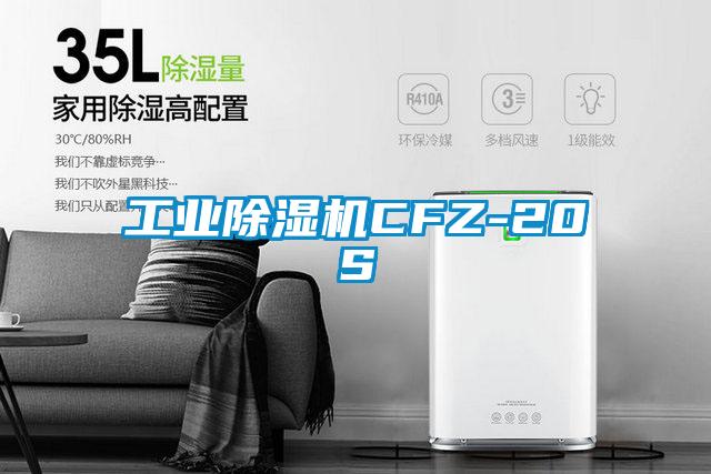 工業(yè)除濕機(jī)CFZ-20S