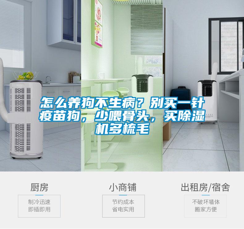 怎么養(yǎng)狗不生?。縿e買一針疫苗狗，少喂骨頭，買除濕機(jī)多梳毛