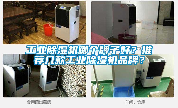 工業(yè)除濕機哪個牌子好？推薦幾款工業(yè)除濕機品牌？