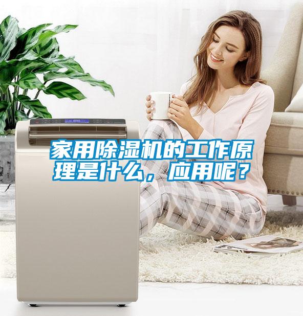 家用除濕機(jī)的工作原理是什么，應(yīng)用呢？