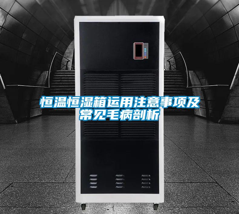 恒溫恒濕箱運(yùn)用注意事項(xiàng)及常見(jiàn)毛病剖析