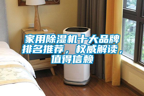 家用除濕機(jī)十大品牌排名推薦，權(quán)威解讀，值得信賴