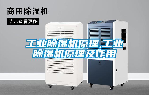 工業(yè)除濕機原理,工業(yè)除濕機原理及作用