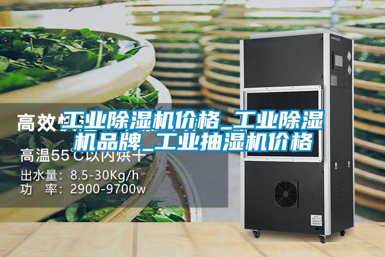 工業(yè)除濕機價格_工業(yè)除濕機品牌_工業(yè)抽濕機價格