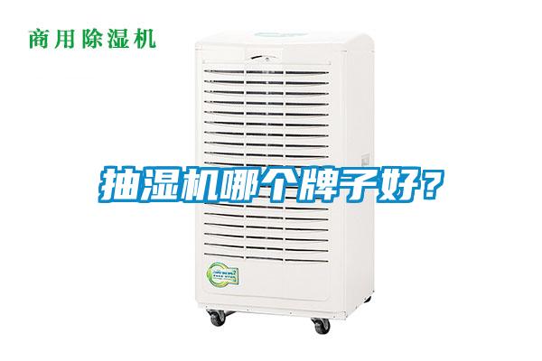 抽濕機哪個牌子好？