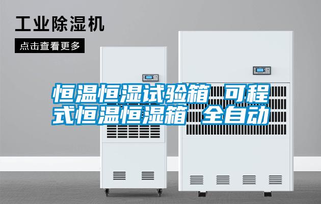 恒溫恒濕試驗(yàn)箱 可程式恒溫恒濕箱 全自動(dòng)