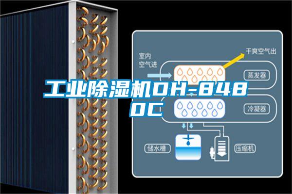 工業(yè)除濕機(jī)DH-8480C