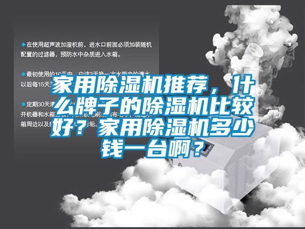 家用除濕機(jī)推薦，什么牌子的除濕機(jī)比較好？家用除濕機(jī)多少錢一臺??？