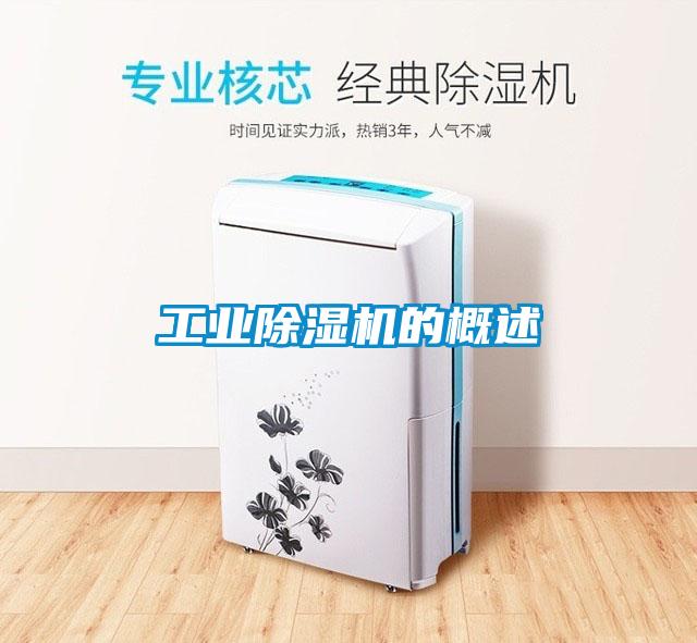 工業(yè)除濕機(jī)的概述