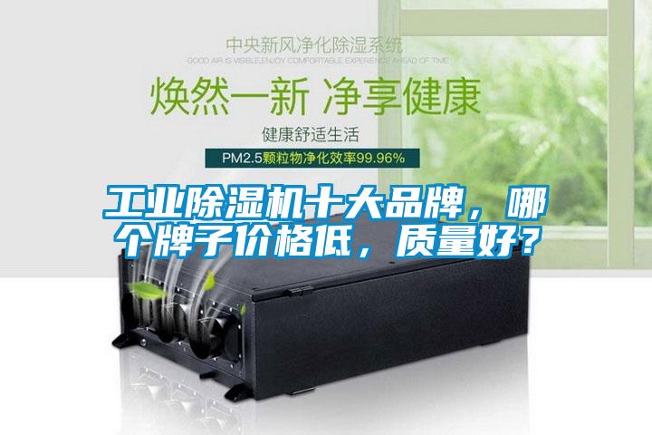 工業(yè)除濕機(jī)十大品牌，哪個牌子價格低，質(zhì)量好？