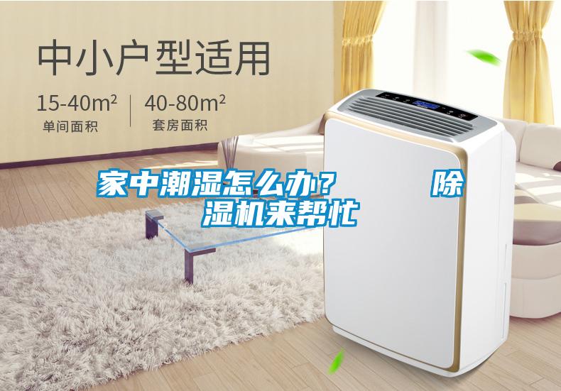 家中潮濕怎么辦？    除濕機(jī)來(lái)幫忙