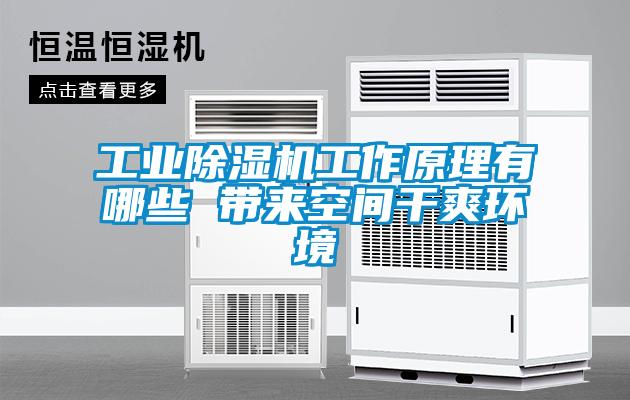 工業(yè)除濕機(jī)工作原理有哪些 帶來(lái)空間干爽環(huán)境