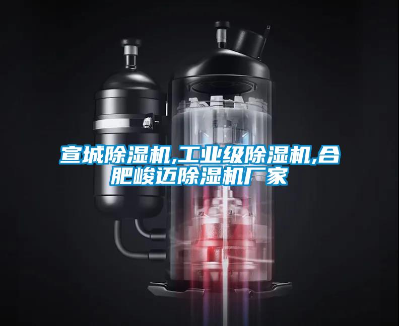 宣城除濕機(jī),工業(yè)級除濕機(jī),合肥峻邁除濕機(jī)廠家