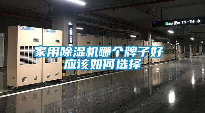 家用除濕機哪個牌子好 應(yīng)該如何選擇