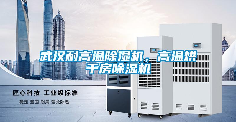 武漢耐高溫除濕機，高溫烘干房除濕機