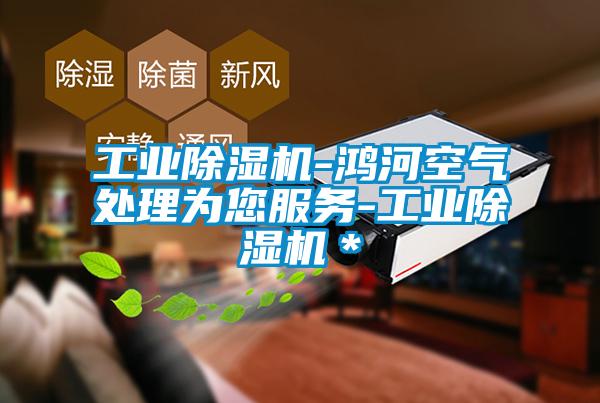 工業(yè)除濕機-鴻河空氣處理為您服務(wù)-工業(yè)除濕機＊