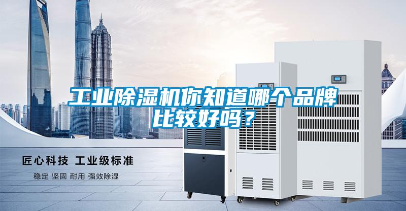 工業(yè)除濕機你知道哪個品牌比較好嗎？