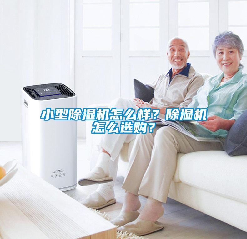 小型除濕機怎么樣？除濕機怎么選購？