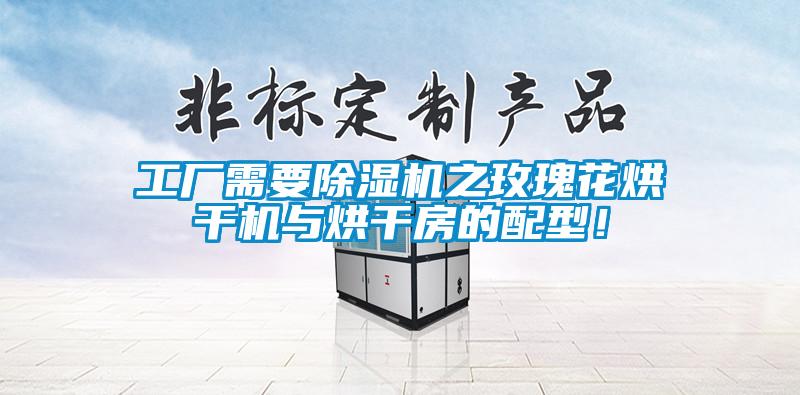 工廠需要除濕機(jī)之玫瑰花烘干機(jī)與烘干房的配型！