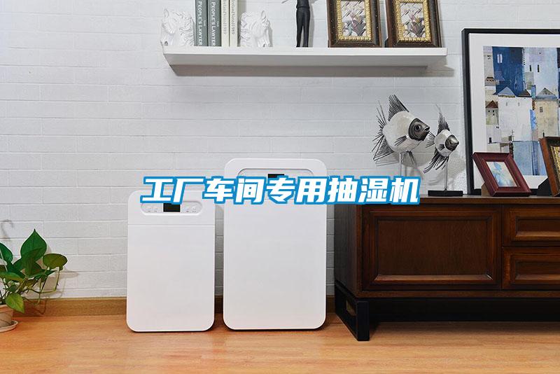 工廠車間專用抽濕機(jī)