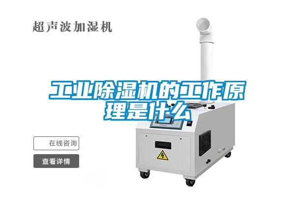 工業(yè)除濕機(jī)的工作原理是什么