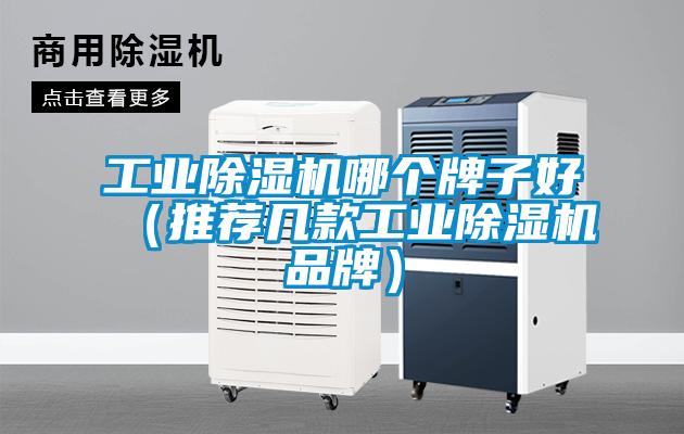 工業(yè)除濕機哪個牌子好（推薦幾款工業(yè)除濕機品牌）