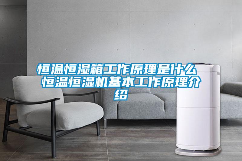 恒溫恒濕箱工作原理是什么 恒溫恒濕機(jī)基本工作原理介紹