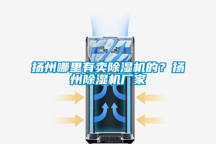 揚州哪里有賣除濕機的？揚州除濕機廠家